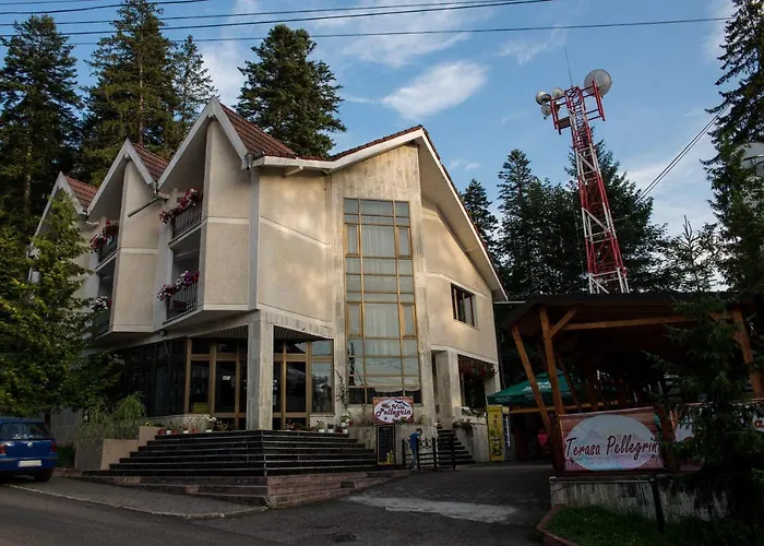 Vila PellegrinPensiune