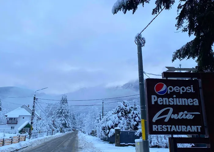 Pensiunea AntiaPensiune